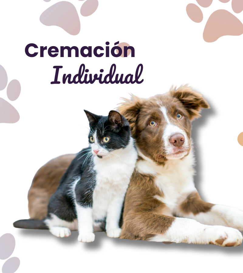 Cremación Individual